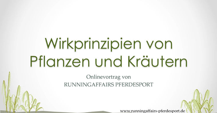 Wirkprinzipien von Kräutern 2020
